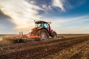 Украинский бизнес продает сельхозземлю. Данные с начала 2024 года