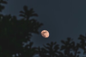 Місячний календар на травень 2024: коли новий та повний Місяць