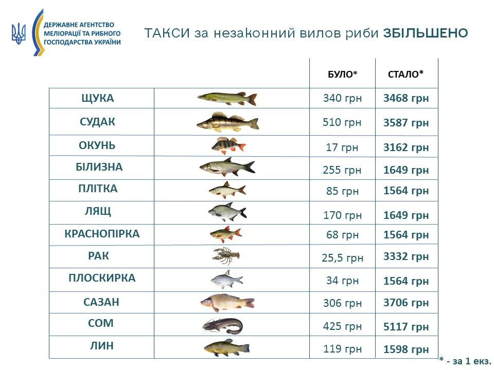 Графика: Государственное агентство мелиорации и рыбного хозяйства Украины